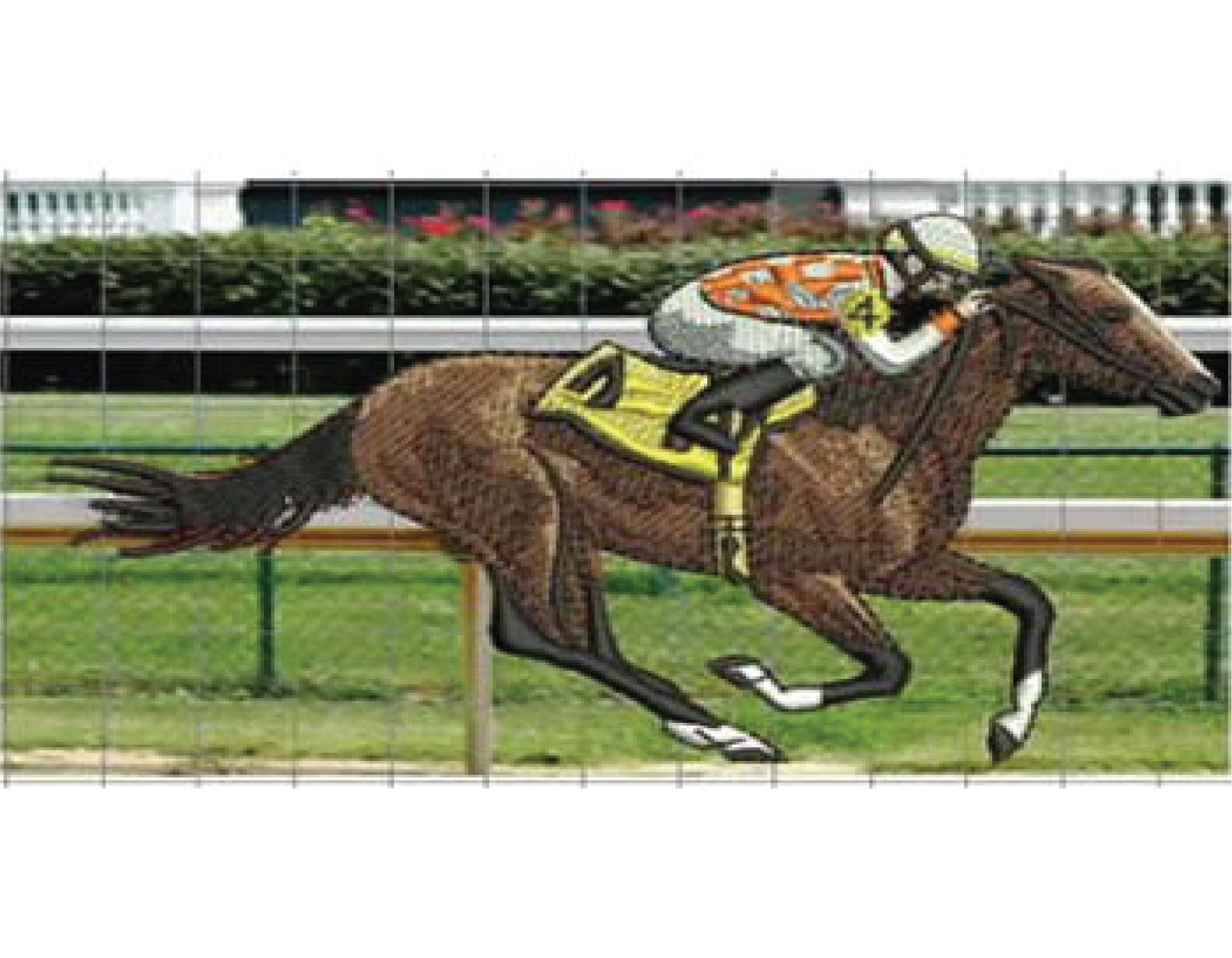 Digitized Jacket Back