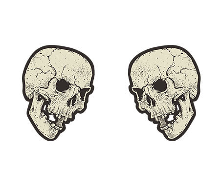 vector skull